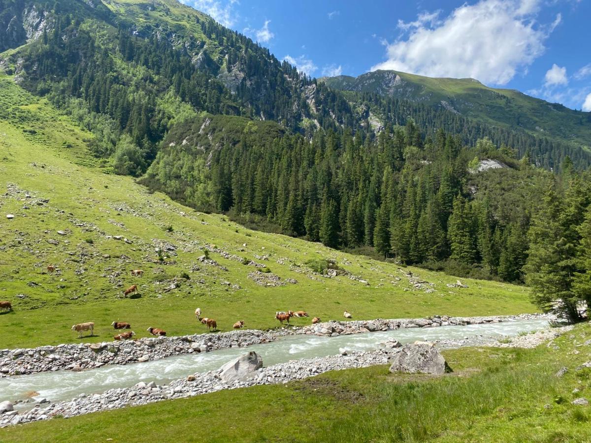 Penthaus Kitzebueheler Alpen Apartment Neukirchen am Grossvenediger Bagian luar foto